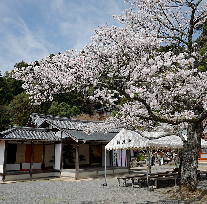 『鞍馬寺花供養奉納公演』予告イメージ